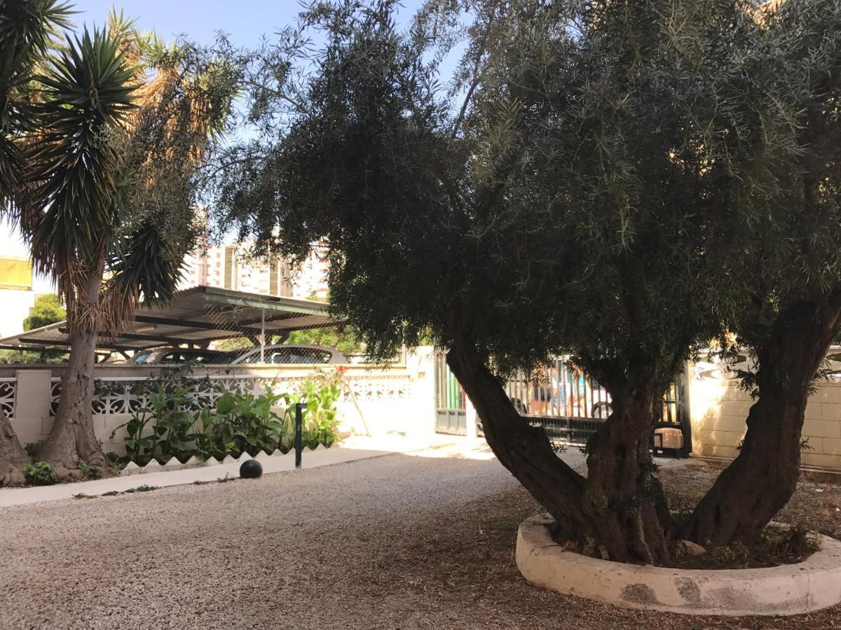 Apartamento En La Playa - Alicante, Costa Blanca - Los Olivos Buitenkant foto